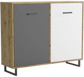 Skrinka Bari 2F dub artisan/grafit/biela