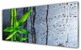 Obraz plexi Bambus list rastlina príroda 125x50 cm