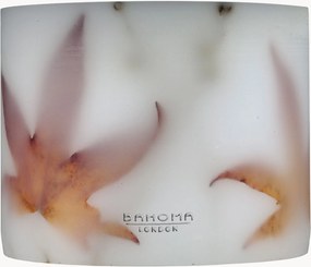 Vonná sviečka Botanical (Cinnamon & Peppercorn)