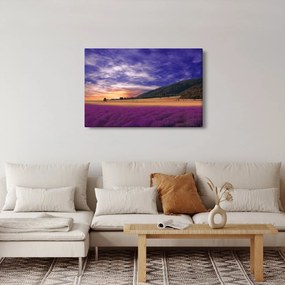 Obraz levanduľovej lúky (90x60 cm)