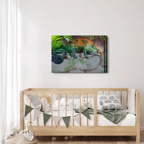 Obraz - Chameleon (90x60 cm)