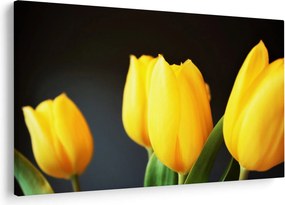 Obraz tulipánov (90x60 cm)