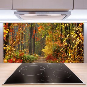Sklenený obklad Do kuchyne Les príroda jeseň 140x70 cm
