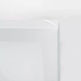 Obraz na plátně, Japonská gejha s ventilátorem - 60x40 cm