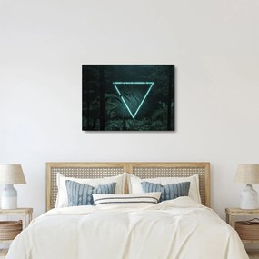 Obraz - Neónový trojuholník v jungli (70x50 cm)