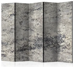 Artgeist Paraván - Grey Lady II [Room Dividers]