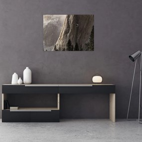 Obraz z údolia Yosemite národnej parku, USA (70x50 cm)