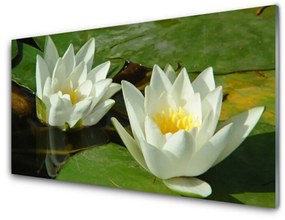 Obraz plexi Kvety rastliny príroda 100x50 cm