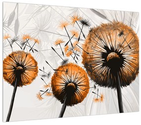 Obraz páperia oranžových púpav (70x50 cm)
