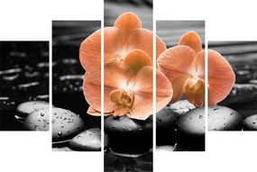 Obraz - Oranžové orchidey (150x105 cm)