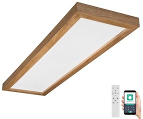 Brilagi-LED Stmievateľné svietidlo WOODY FRAME LED/50W/230V dub 120x30 cm IP44 +DO BG0865