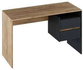 PC stolík Titanes (dub artisan + grafit) . Vlastná spoľahlivá doprava až k Vám domov. 1116532