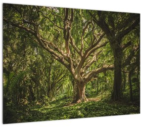 Sklenený obraz stromov (70x50 cm)