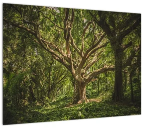 Sklenený obraz stromov (70x50 cm)