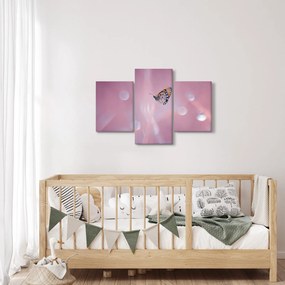 Obraz - Motýlik (90x60 cm)