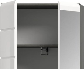 Predsieňová skriňa so zrkadlom Salsa, šedý dub/biely lesk