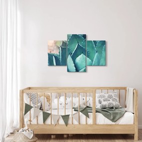 Obraz - Sukulent (90x60 cm)