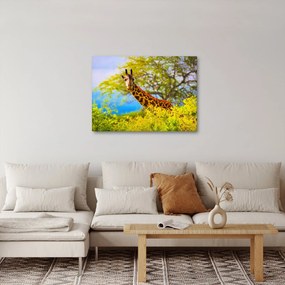 Obraz žirafy v Afrike (70x50 cm)