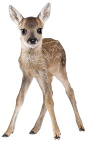 Samolepka do dětského pokoje malý jelenek 78x50 cm