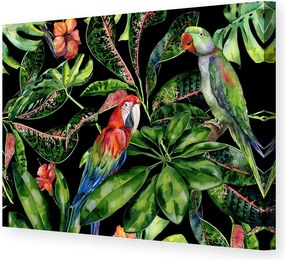 Plátno maľba Tropical Birds