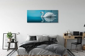 Obraz na akrylátovom skle Swan vo vode 120x60 cm