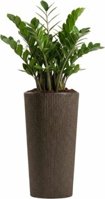 PLASTOVÝ KVETINÁČ URBANIKA ECO 36,5X19,5 CM TMAVOHNEDÁ