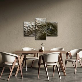 Obraz - Detailné fotografie starého slonieho oka (90x60 cm)