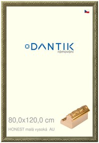 DANTIK rám na obraz 80x120 | HONEST malá vysoká AU (Plexi Čiré)