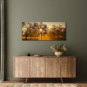 Obraz - Východ slnka (120x50 cm)