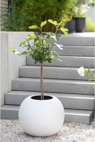Dizajnový kvetináč VITRO, sklolaminát, priemer 50 cm, biely