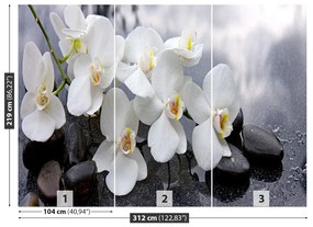 Fototapeta Vliesová Orchidea kamene 208x146 cm