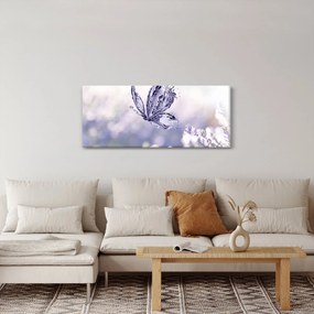 Obraz - Motýľ a levanduľa (120x50 cm)