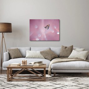 Obraz - Motýľ (70x50 cm)
