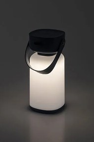 Rabalux FUNES LED vonkajšia dekoratívna lampa 77145