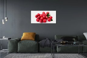 Obraz canvas avokádo 100x50 cm