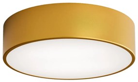 Brilagi - Stropné svietidlo CLARE 2xE27/24W/230V pr. 30 cm zlatá BG0821