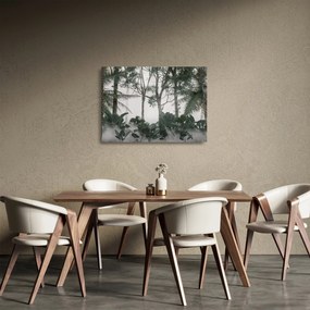 Sklenený obraz - Jungle v rannej hmle (70x50 cm)
