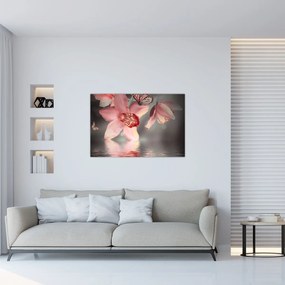 Obraz - Kvety a motýľ (90x60 cm)