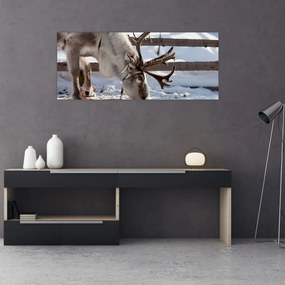 Obraz - Sob (120x50 cm)