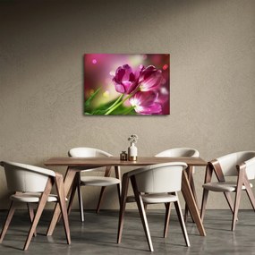 Obraz ružových tulipánov (70x50 cm)