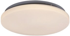 Rabalux LED stropné svietidlo Rob 1x20W | 1400lm | 3000K - priemer 29cm, biela
