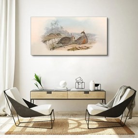 Obraz Canvas Vtáky zvieratá kreslenie