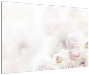 Obraz nežných kvetov (90x60 cm)