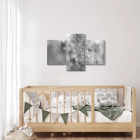 Obraz - Boho pampas grass (90x60 cm)