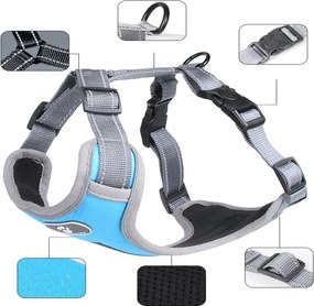 Beztlakový postroj pre psa ASTRO - modrý - rozmer M