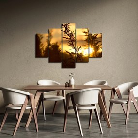 Obraz - Slnko zapadajúce za stromami (150x105 cm)