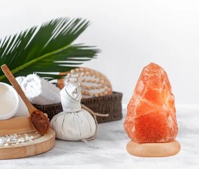 Soľná lampa SALLY 1xE14/25W/230V