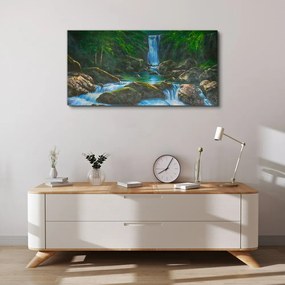 Obraz na plátne Vodopád skaly stromov