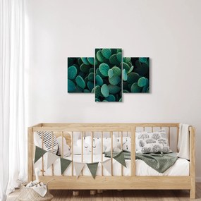 Obraz - Opuncie (90x60 cm)