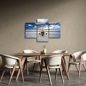 Obraz motorového lietadla (90x60 cm)